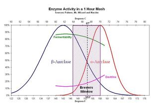 enzyme_activity_one_hour_mash