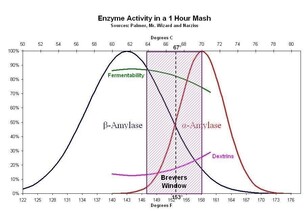 Enzym activiteit met 1 uur maischen