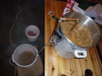 wort van pompoenbier