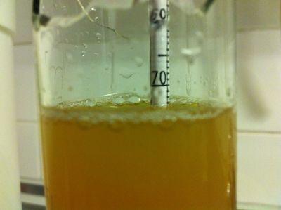 E&eacute;n liter eigen bier: begin SG
