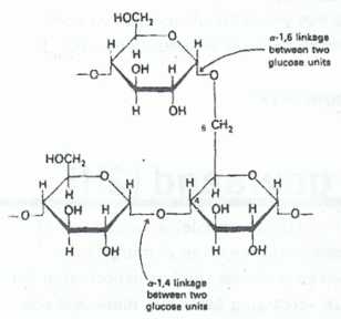 glucose