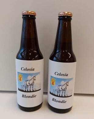 Twee flesjes Celosia Blondie