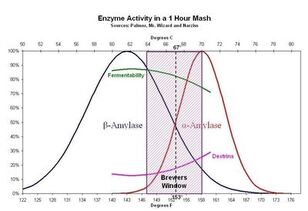 Enzyme activity