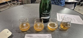 proefglazen lindemans