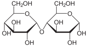 Maltose molecuul