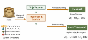 schema antoxin
