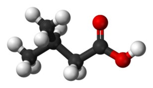 molecuulmodel Isovaleriaanzuur