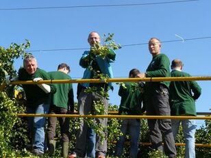 Hopplukken 2008-4