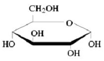 Glucose