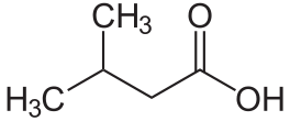 Isovalerianzuur